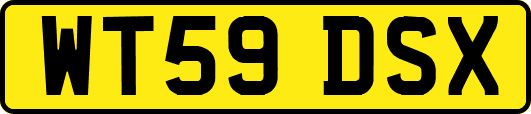 WT59DSX