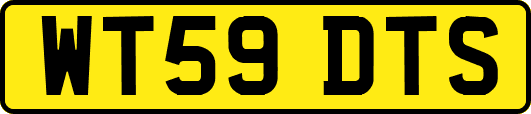 WT59DTS