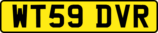 WT59DVR