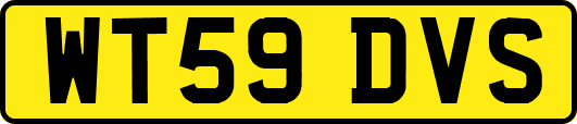 WT59DVS