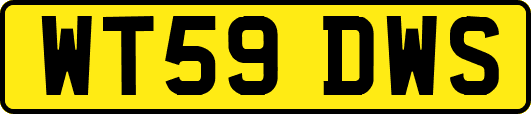WT59DWS