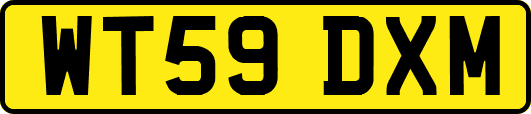 WT59DXM
