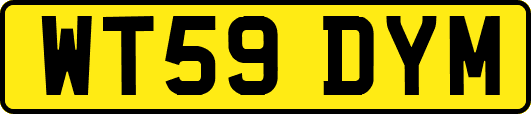 WT59DYM