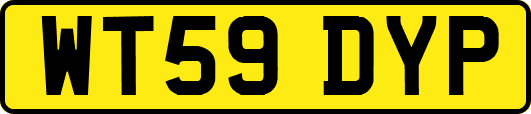 WT59DYP