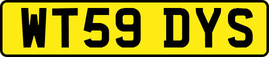 WT59DYS