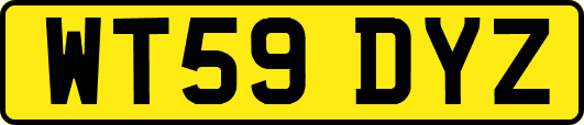 WT59DYZ