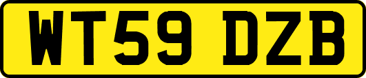 WT59DZB