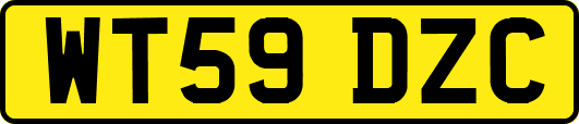 WT59DZC