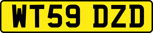 WT59DZD