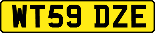 WT59DZE