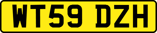 WT59DZH