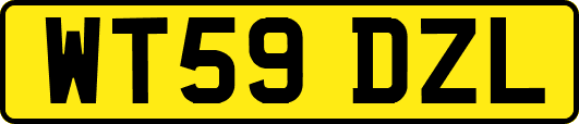 WT59DZL