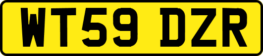 WT59DZR