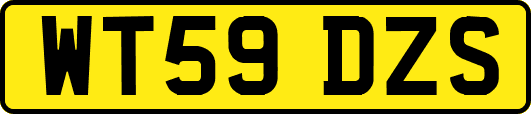 WT59DZS