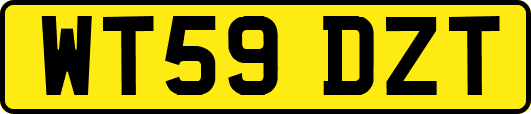 WT59DZT