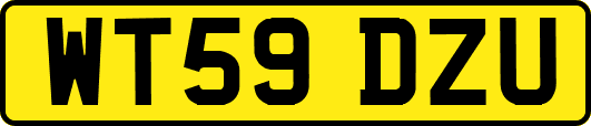 WT59DZU