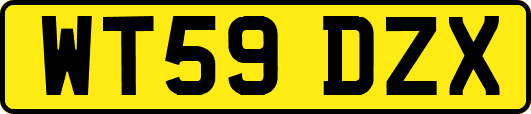 WT59DZX