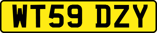 WT59DZY