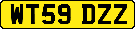 WT59DZZ