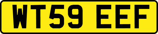 WT59EEF