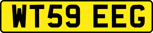WT59EEG