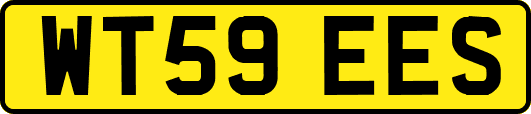 WT59EES