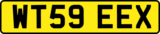WT59EEX