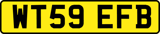 WT59EFB