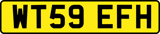 WT59EFH