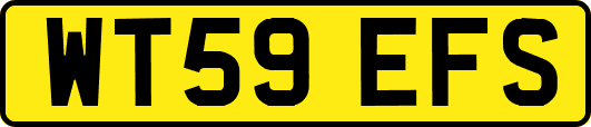 WT59EFS
