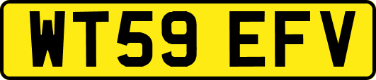 WT59EFV