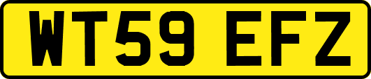 WT59EFZ
