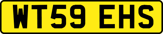 WT59EHS