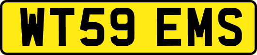 WT59EMS