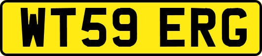 WT59ERG