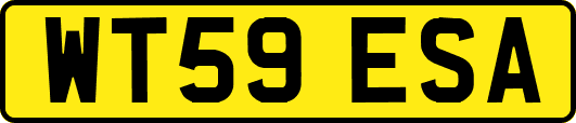 WT59ESA