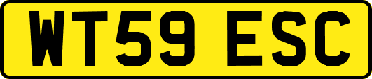WT59ESC
