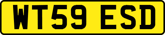 WT59ESD