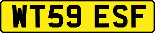 WT59ESF