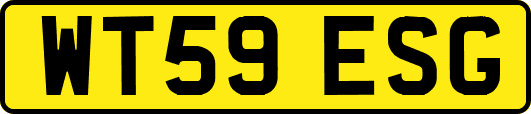 WT59ESG
