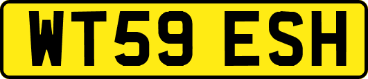 WT59ESH