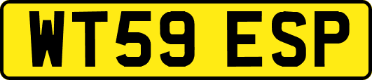 WT59ESP