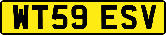 WT59ESV