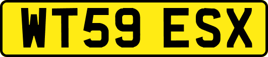 WT59ESX