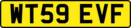 WT59EVF