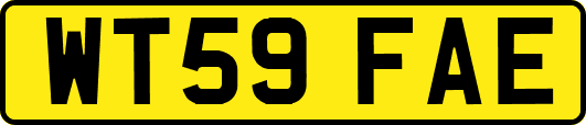 WT59FAE