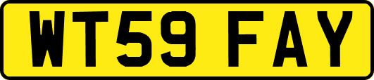 WT59FAY