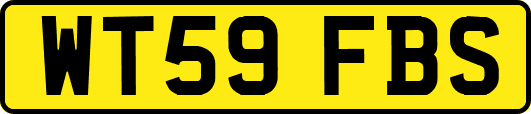 WT59FBS