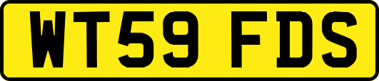 WT59FDS