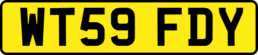 WT59FDY
